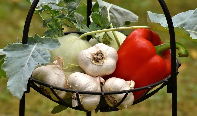 Healthy Food Choices